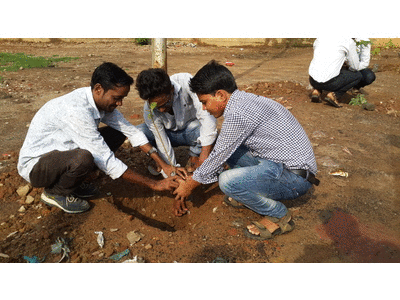 Tree Plantation Event